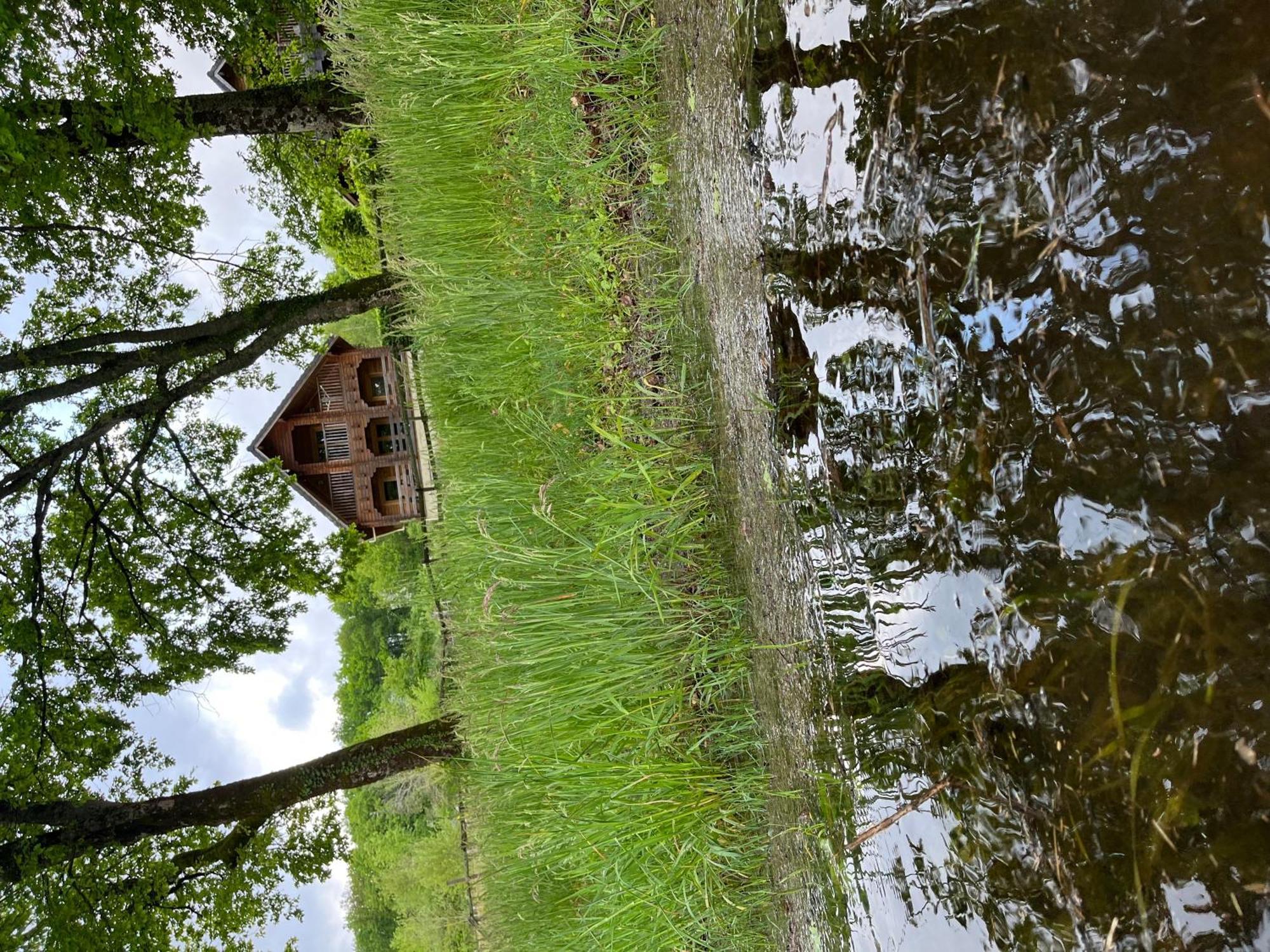 Au Bord Du Lac III Villa Montigny-en-Morvan Exterior foto